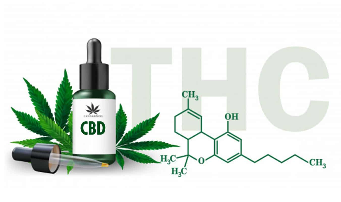 what is cbd