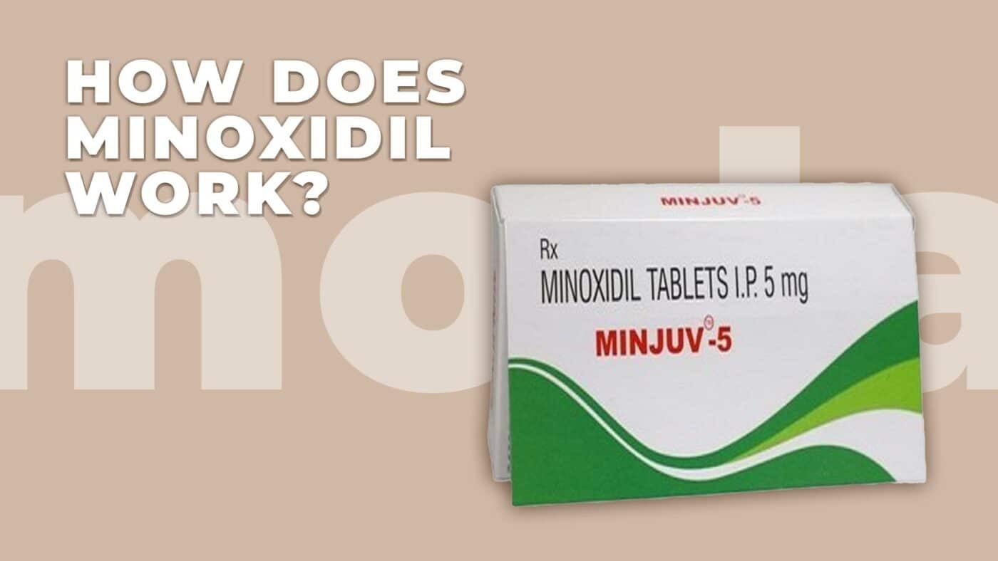 2. How does Minoxidil work