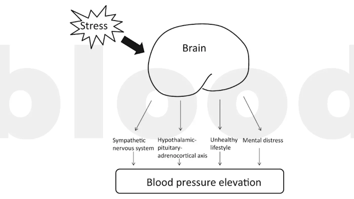 8. Screenshot I Eat a Healthy Diet. Why Do I Still Have High Blood Pressure